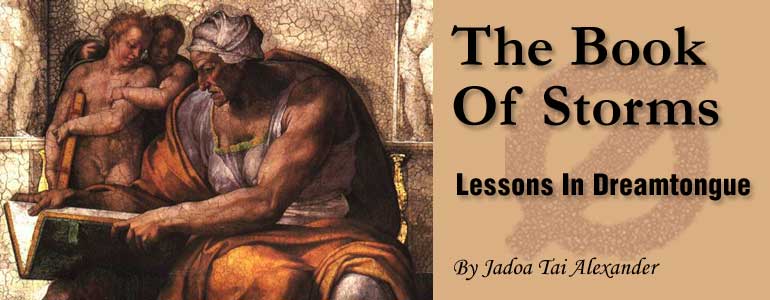 The Book Of Storms 